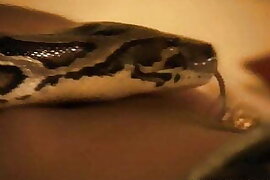 Another Gorgeous Indian Babe 4 U