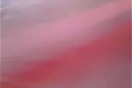 MOV0006A